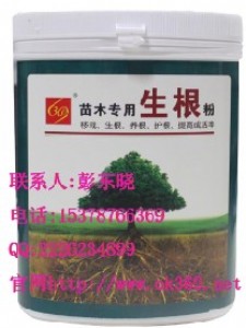 369��ľ�����ۡ���369����Ƽ����޹�˾