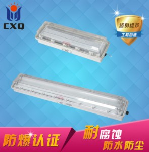 �����ɹ��2*20w��·����ҷ��������2*36w������