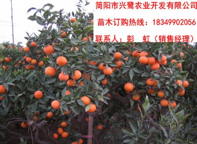 �Ĵ��̽���r���Ĵ��̽������l