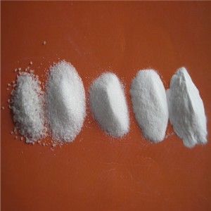 �߼��ׄ�������ɰ��ɰ�S��ֱ�N