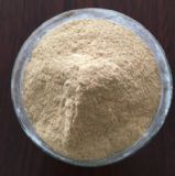 ɽ�|�I�ݏS�ҹ���(y��ng)ơ�ƽ�ĸ��� ��ˮ�a(ch��n)��