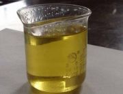 ȼ���͏S��ֱ�N