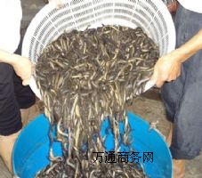 ɽ�|����(y��ng)�_�����q�磬���~��