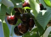 �ǳ��õĴ��ϙ��������_���ϴ������r��