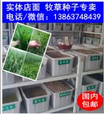 �������ݷN��Ʒ�N �Bţ��������ݷN�r��