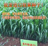 �ļ����ݷN�� ����Bֳ�ݷN�r��