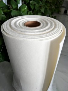 �^�������w�S�����