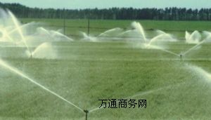 ��������ֹͣ���E