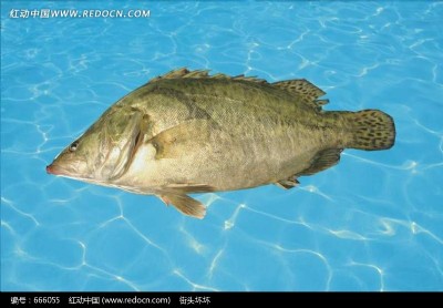 ���~�硢�Z�~�����~��