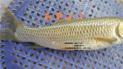 ����(y��ng)ܛ�̲��~��Ʒ�~