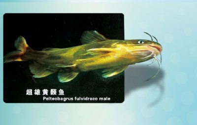 �S���~����