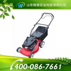 ���Ͳ�ƺ�C�����Ͳ�ƺ�C����С