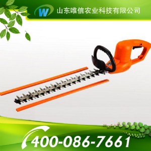 �p����֦�����p����֦��S��