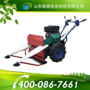 С���ո�C��С���ո�C��;�V��