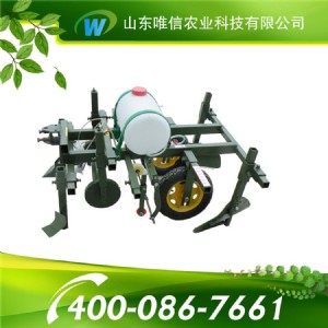 С�͵�Ĥ���w�C С�͵�Ĥ���w�C�r��