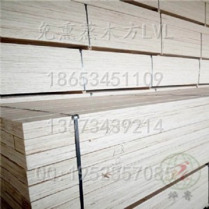 ��Ѭ����� lvl�z��ľ���S��