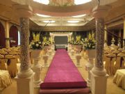 ȫϢ���磬ȫϢ3d����d