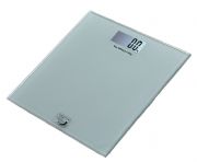 200����8����䓻���������������	