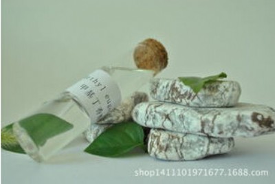 �׻������