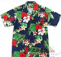 ����������H�� ��ɫ�u��ӆُ