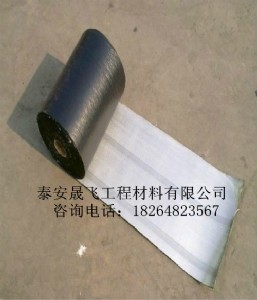 ���������N�S��