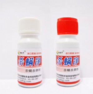 ��ݮ�t֩����η���