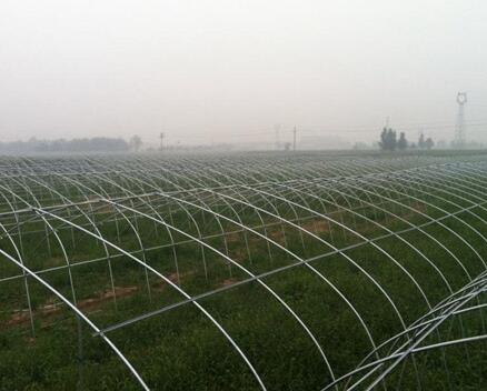 �����߲˴��ｨ�O�����X