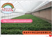 ���ҹ��̽��O    ����䓶�ůʽ���Ҵ��ｨ�O