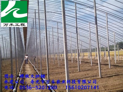 ���ҹ��̽��O    ��ůʽ�ޱ�����