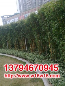 �������������