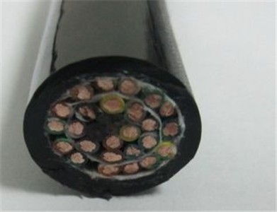 �����������|���͏���1000�f�����ϣ�����M�ڣ����������