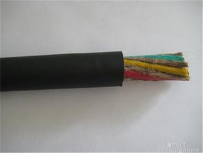 ���ո����������|���͏���1000�f����������M��