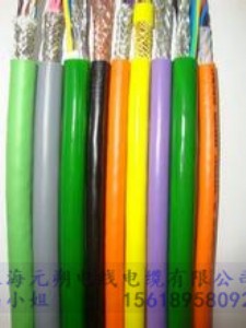 �ӱ������������|���͏���1000�f����������M��