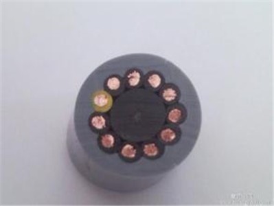 �㽭�����������|���͏���1000�f����������M��