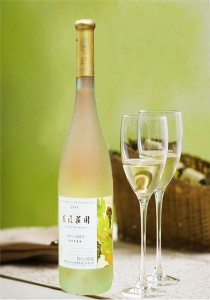 �Ϻ�����M�ڈ��P������˾