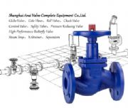 FIG.BSA5���U���y�ܽ�ֹ�y
