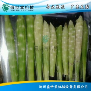 �n�S��Ƥ�C 2017��