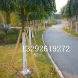 ���ݴ��N ��ľ֧�μ� �o��֧��