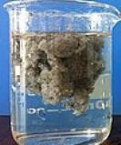 �����������̄�