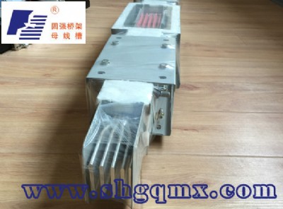 ������ĸ���ۏS�� ������ĸ�������a���S