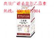 �������������� �����ؚ�����