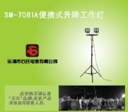 ������yʽ��������������