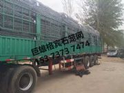 ���B���e�W