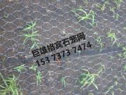 pvc���ܸ��e�W