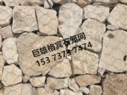 ���Z���e�W(w��ng)