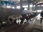 ck67�M�ڏ���䓰�,ck67��̎�폗��䓰�