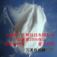 ��ĸ�I�B�}����ĸ�I�B�}�I�B������