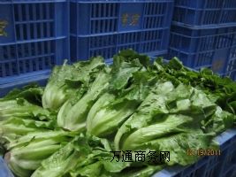 ��Xɽ�Ͳ˹�˾