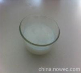 �Ϻ���������S�� ��������N�� ��������ļҺ� Ⱥ܎��