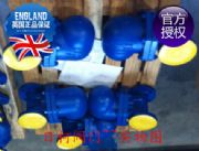 ����Ӣ��˹��ɯ��FT43-10����ʽ��ˮ�y-FT43��ˮ�y